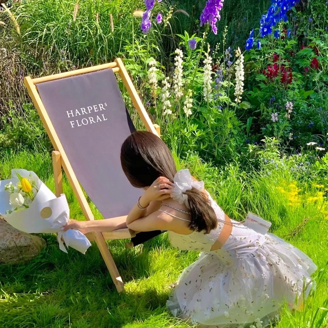 夜先生捡的小可怜美人有太多的心眼